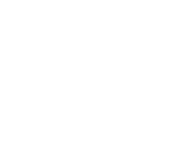 SKYFLY TICKET